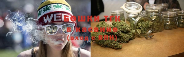 мдпв Козловка