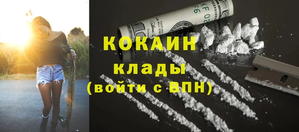 мдпв Козловка