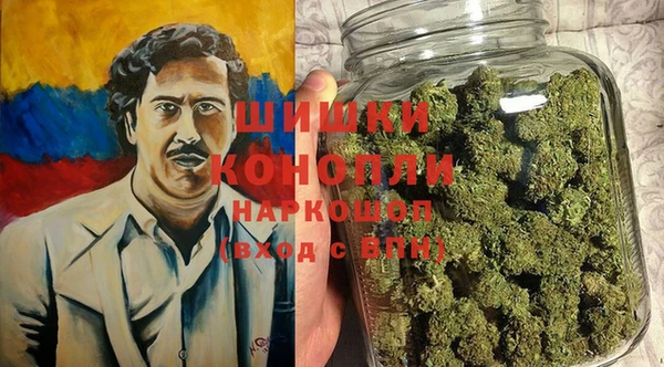 хмурый Кодинск