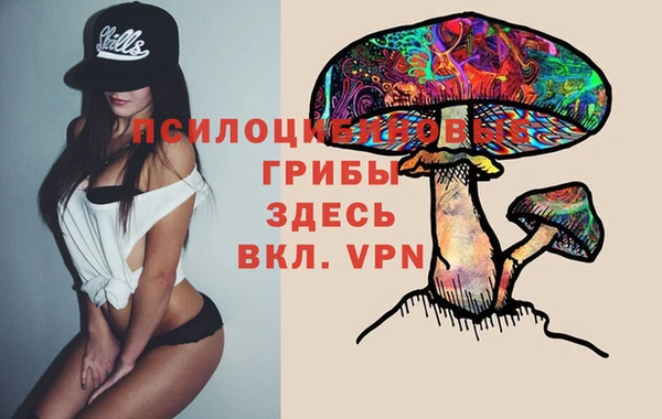 мдпв Козловка