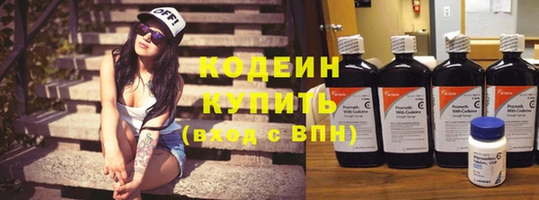 хмурый Кодинск