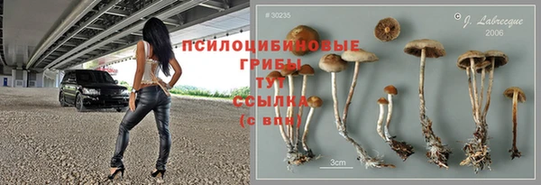 ГАЛЛЮЦИНОГЕННЫЕ ГРИБЫ Козельск