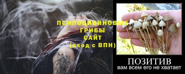 хмурый Кодинск