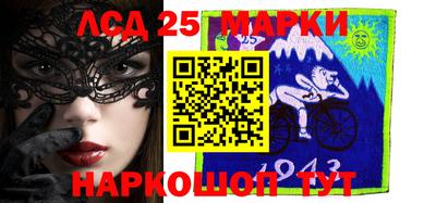 стаф Можга