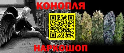 стаф Можга