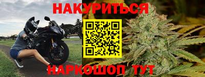 стаф Можга