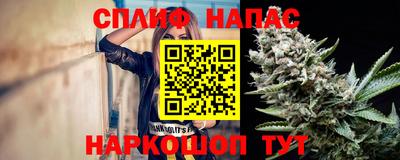 стаф Можга