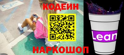 стаф Можга