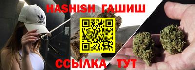 стаф Можга
