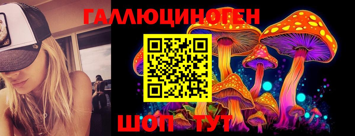 Гусь-Хрустальный  Галлюциногенные грибы GOLDEN TEACHER  Вход с VPN 